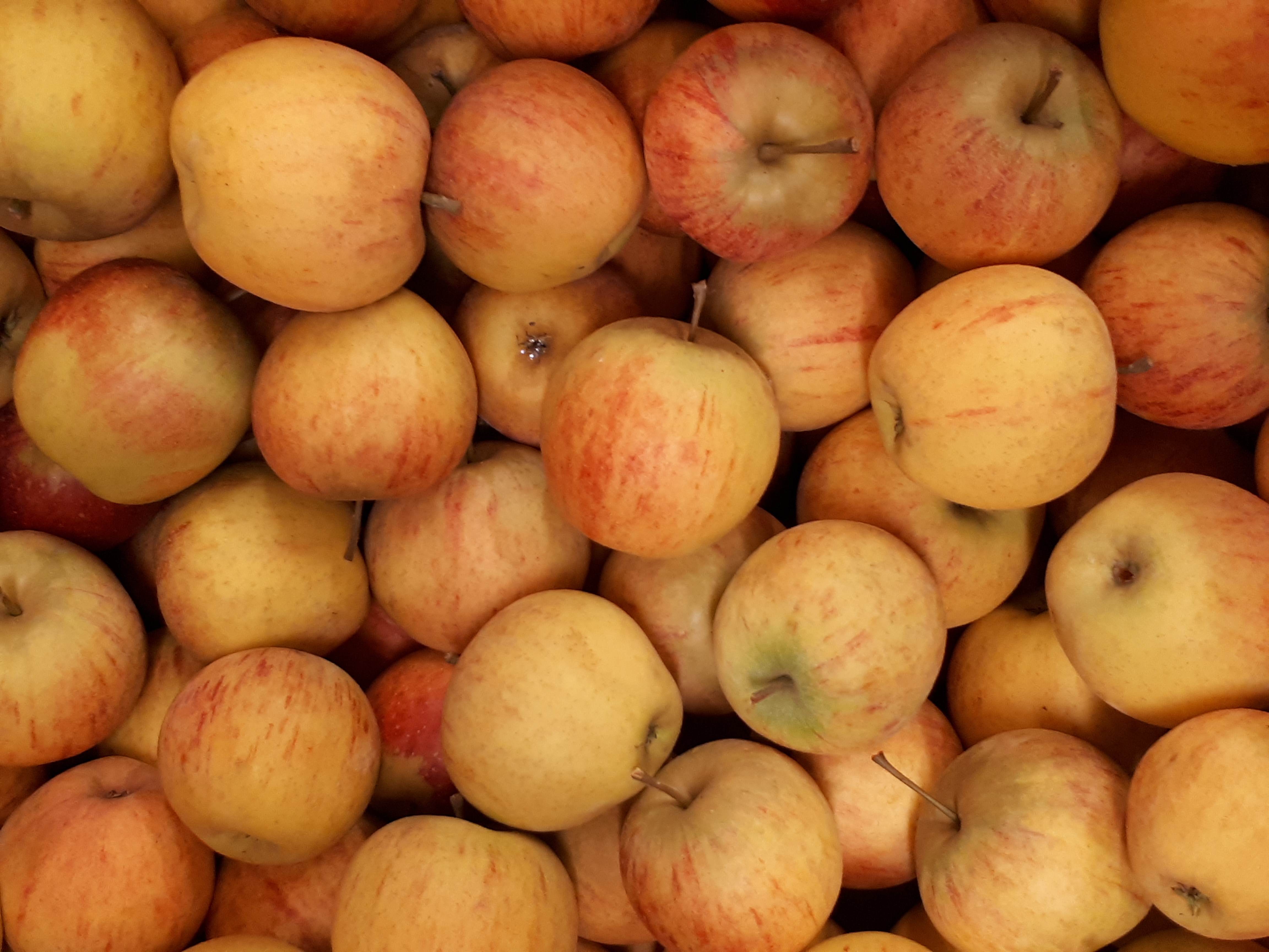 Äpfel Rubinette vom Obsthof Kunz aus Ehrenkirchen-Offnadingen, 1 kg