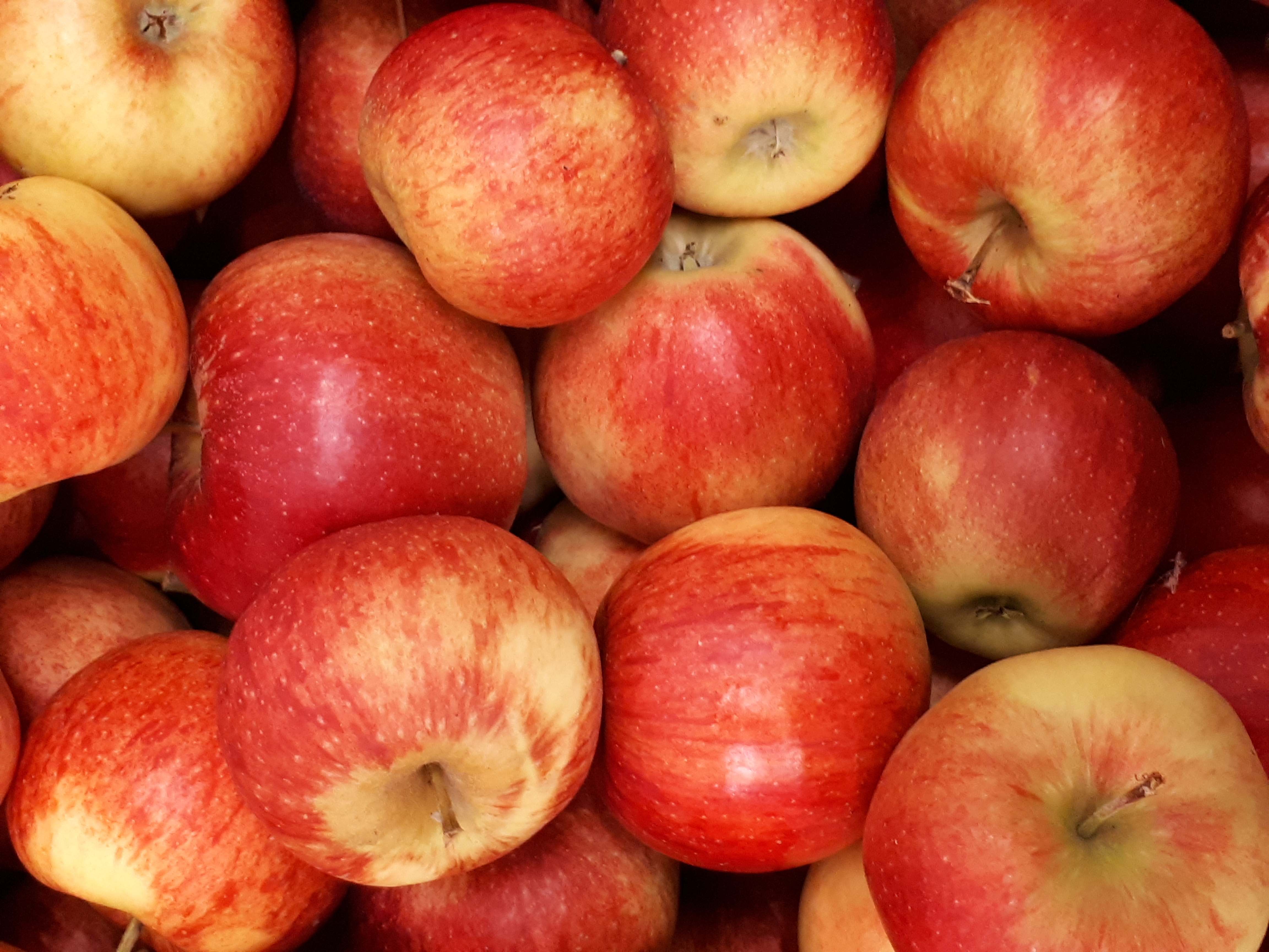 Äpfel Jonagold vom Obsthof Kunz aus Ehrenkirchen-Offnadingen, 1 kg