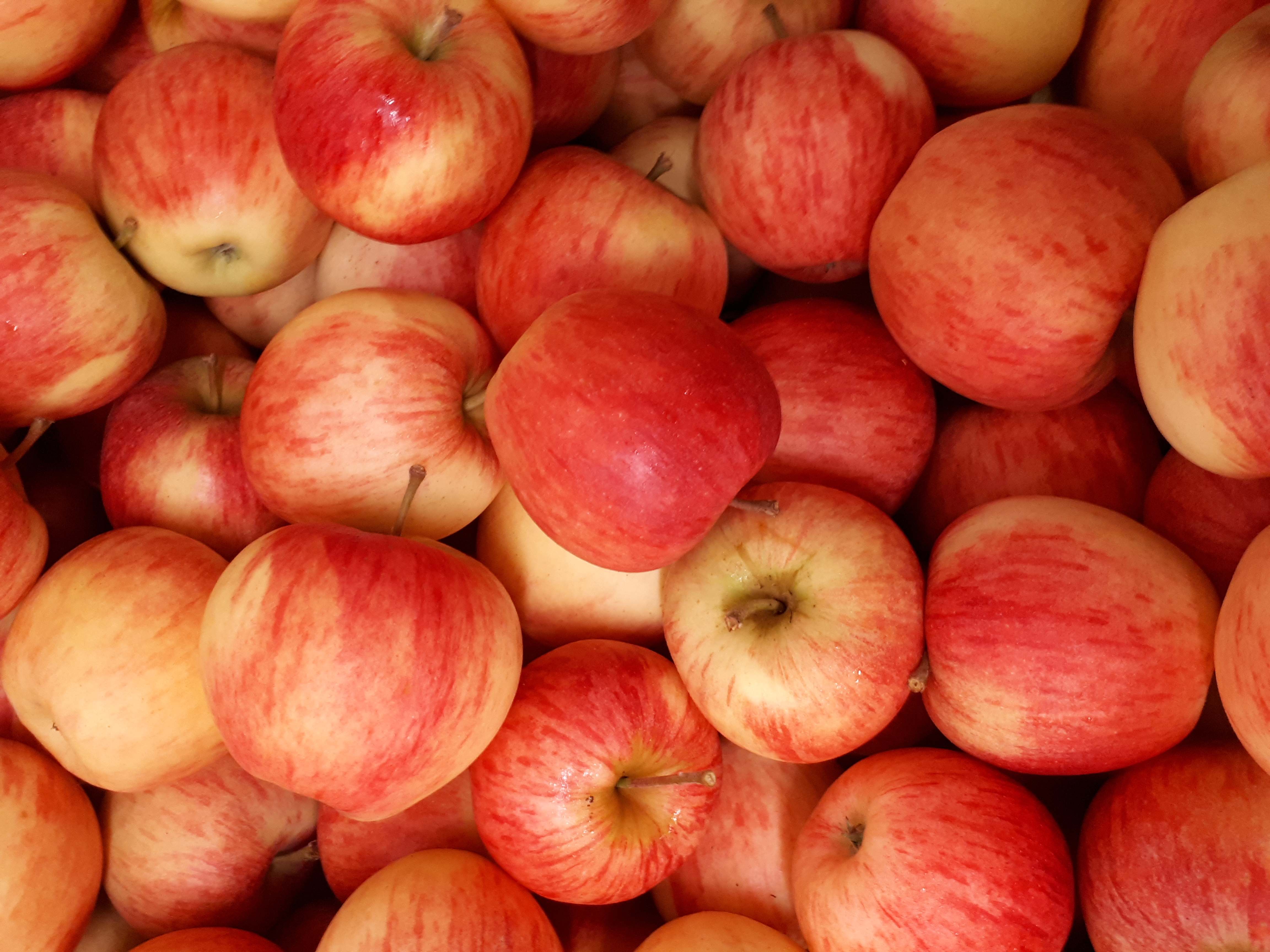 Äpfel Pinova vom Obsthof Kunz aus Ehrenkirchen-Offnadingen, 1 kg