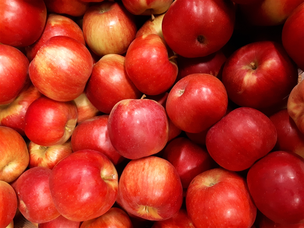 Äpfel Idared vom Obsthof Kunz aus Ehrenkirchen-Offnadingen, 1 kg