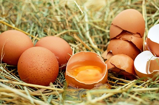 6 Eier von Hänslers Hofladen aus Waltershofen