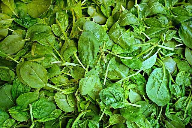 Spinat 500g aus Schallstadt-Mengen von  Hiss Gemüsebau 500g
