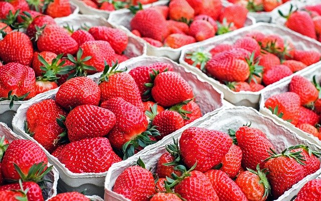 Erdbeeren von Hänslers Hofladen aus Waltershofen 500g Schale
